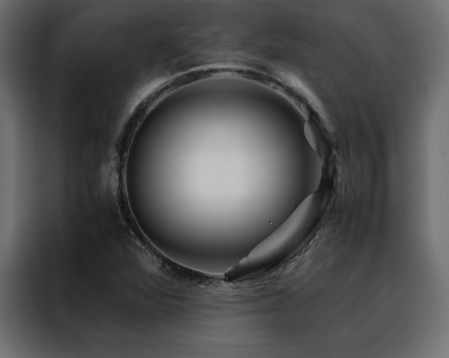 X0000088461360200705221334