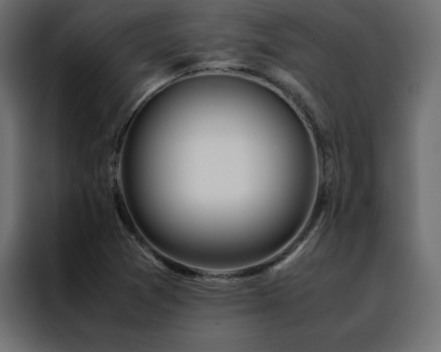 X0000088461361200705221334