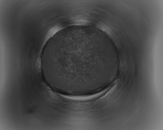 X0000088461362200705221334