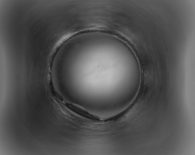 X0000088461363200705221334