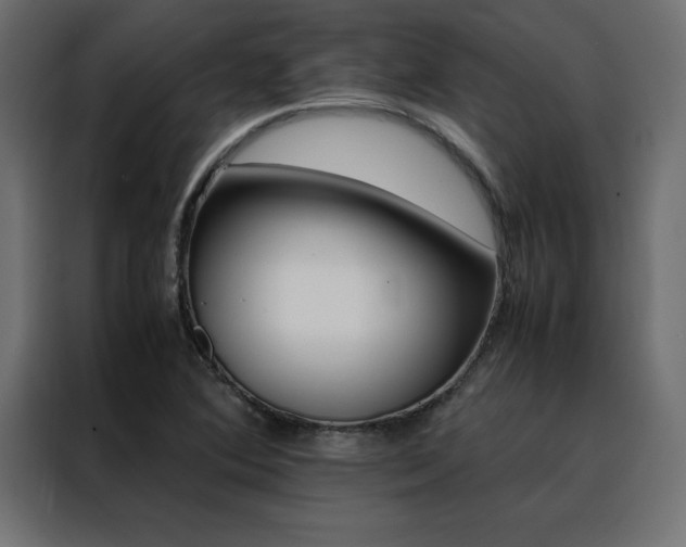 X0000088461364200705221334