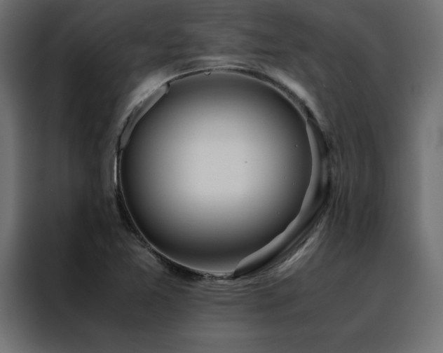 X0000088461365200705221334
