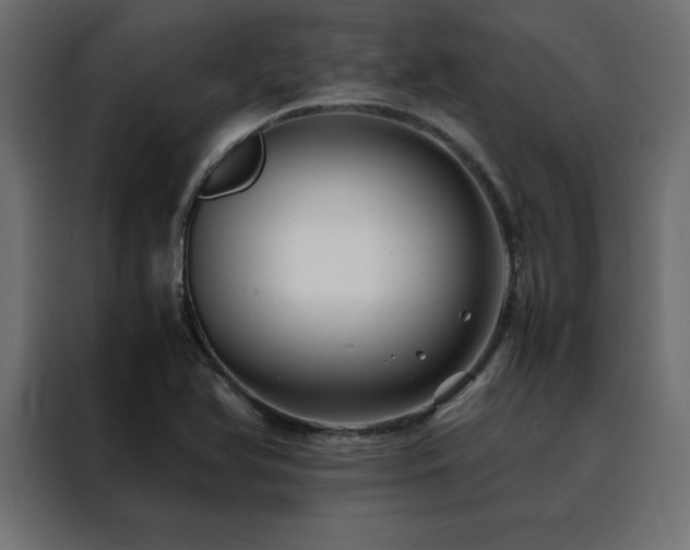 X0000088461366200705221334