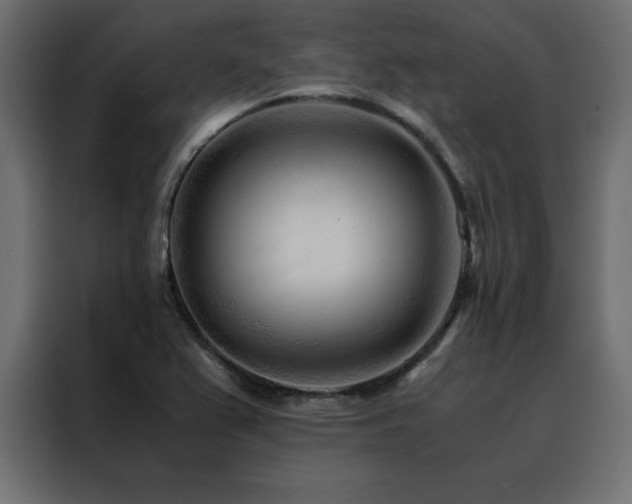 X0000088461367200705221334