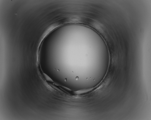 X0000088461370200705221334