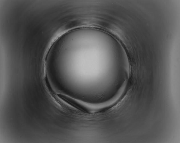 X0000088461371200705221334