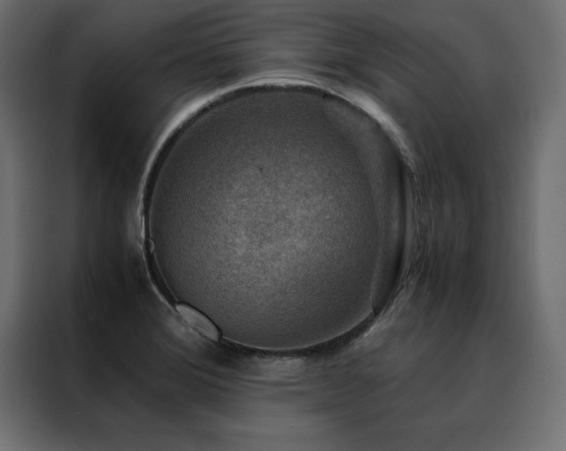 X0000088461372200705221334
