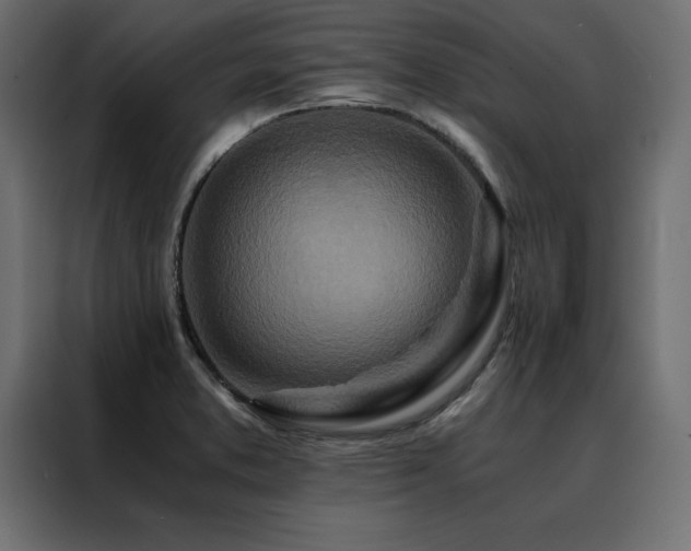 X0000088461373200705221334