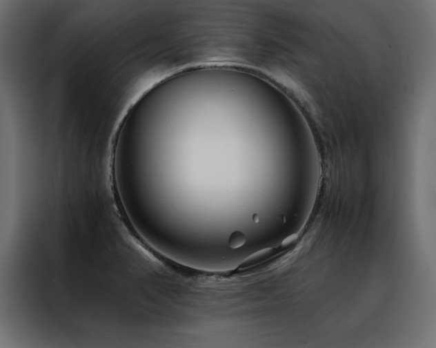 X0000088461374200705221334