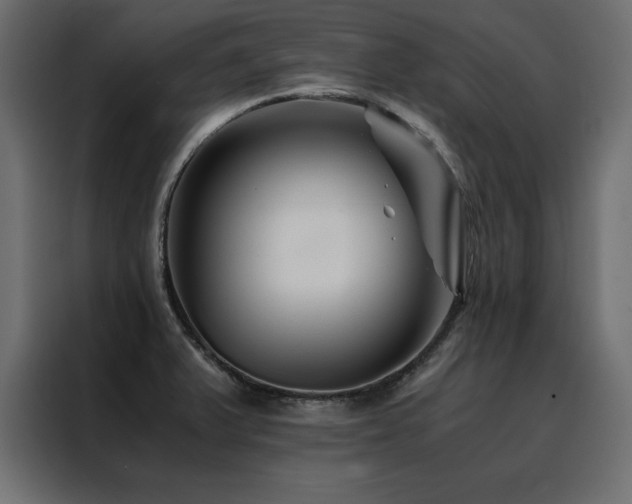 X0000088461375200705221334