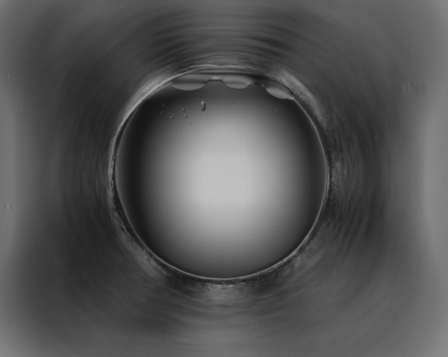 X0000088461378200705221334