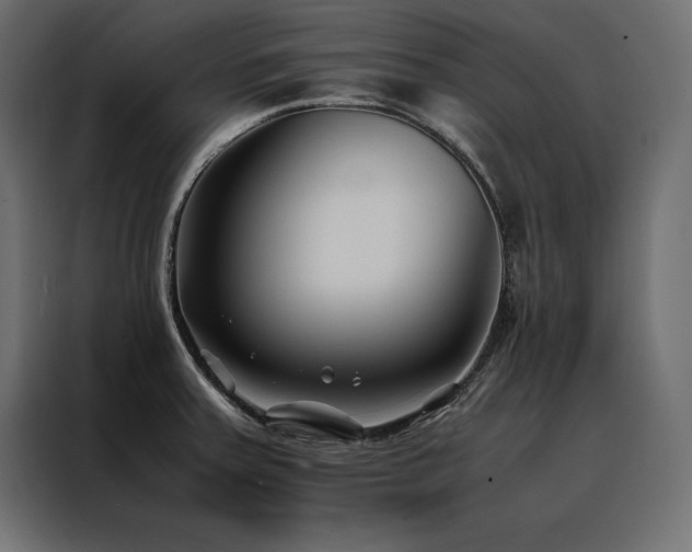 X0000088461379200705221334
