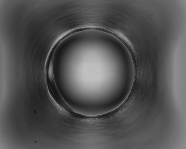 X0000088461380200705221334