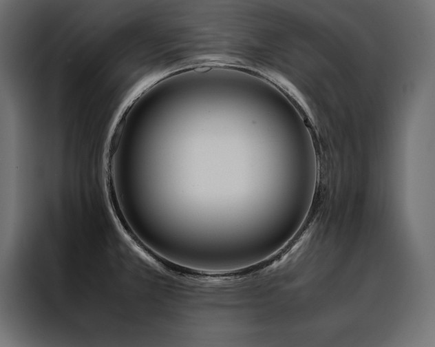 X0000088461381200705221334