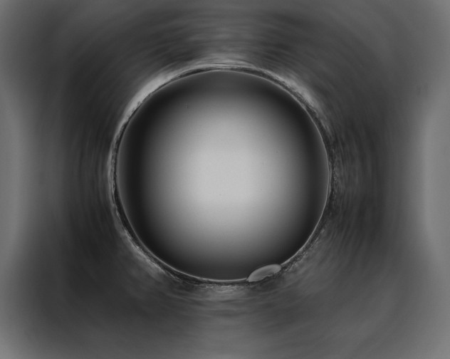 X0000088461382200705221334