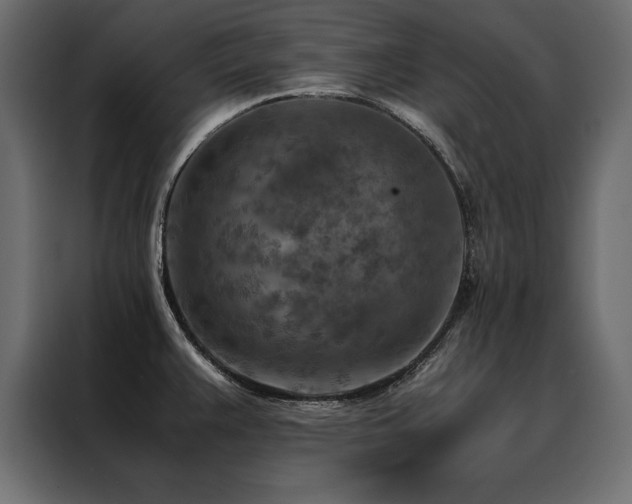 X0000088461383200705221334