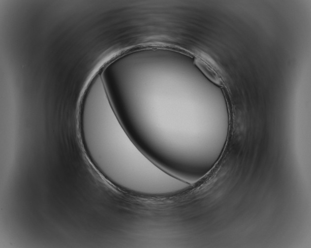 X0000088461384200705221334