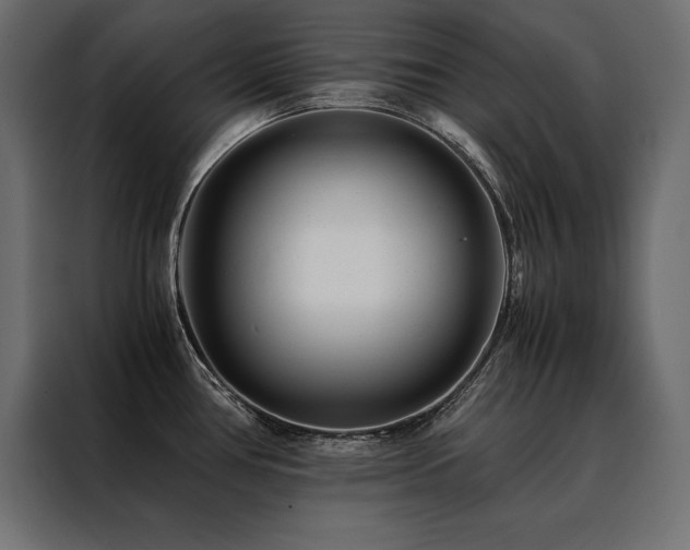 X0000088461386200705221334