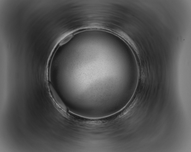X0000088461388200705221334