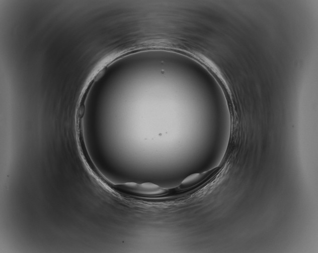 X0000088461389200705221334
