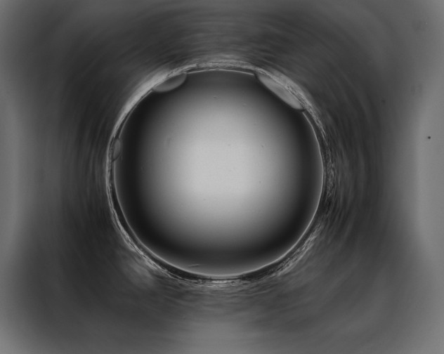 X0000088461390200705221334