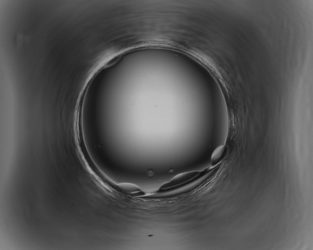X0000088461391200705221334