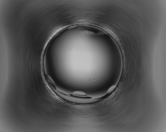 X0000088461392200705221334