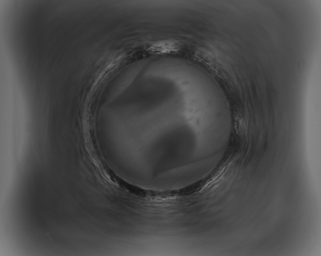X0000088461393200705221333