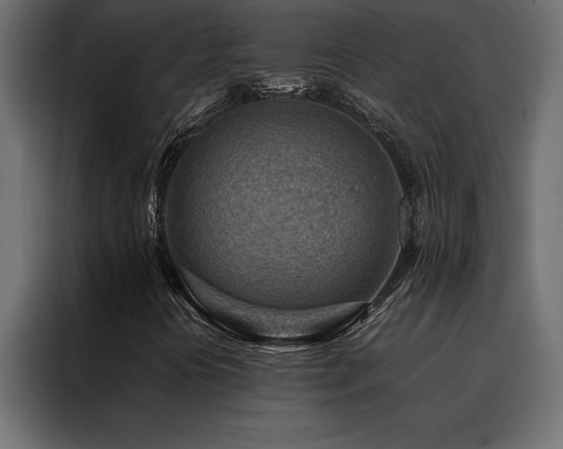 X0000088461394200705221333