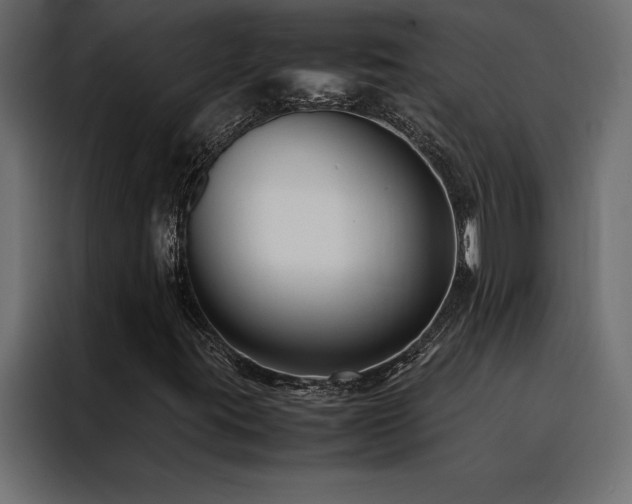 X0000088461395200705221333