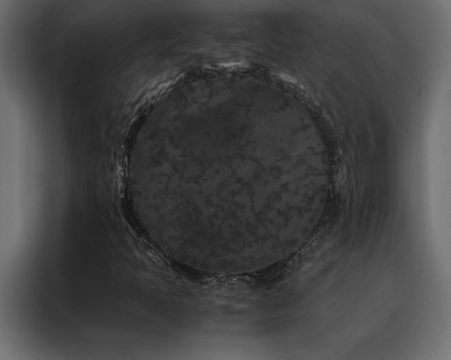 X0000088461397200705221333