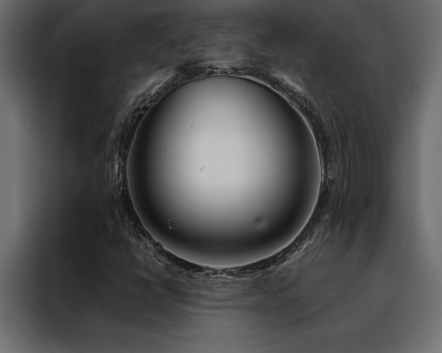 X0000088461398200705221333