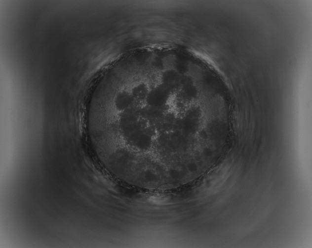 X0000088461399200705221333