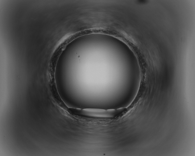 X0000088461400200705221333