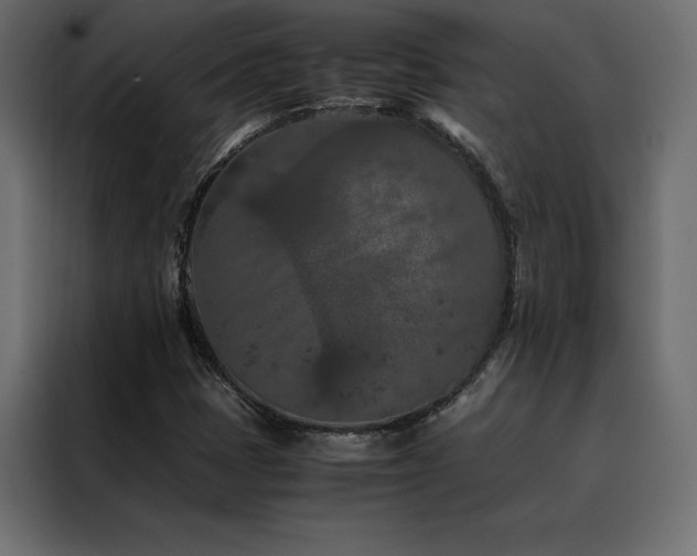 X0000088461401200705221333