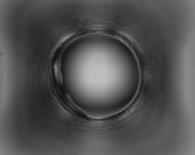 X0000088461402200705221333