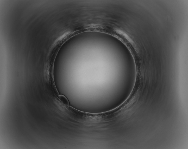 X0000088461403200705221333