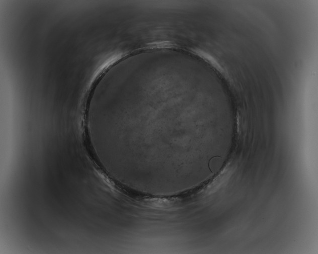 X0000088461405200705221333