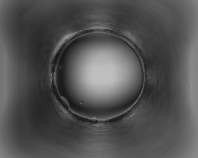 X0000088461408200705221333
