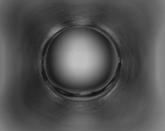 X0000088461410200705221333