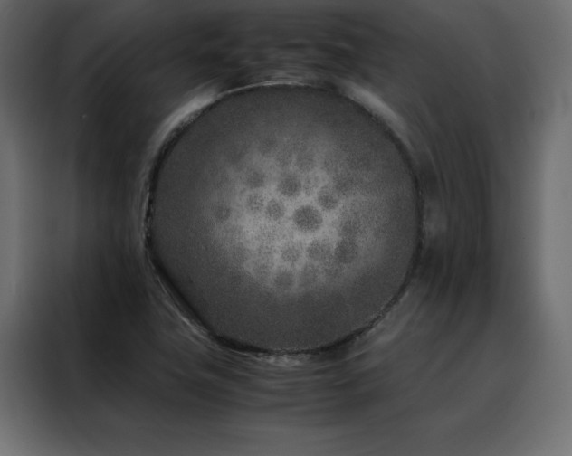 X0000088461411200705221333