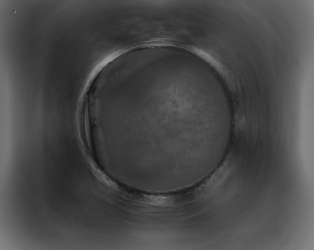 X0000088461413200705221333
