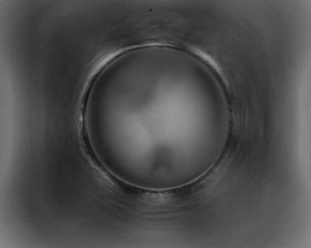 X0000088461415200705221333