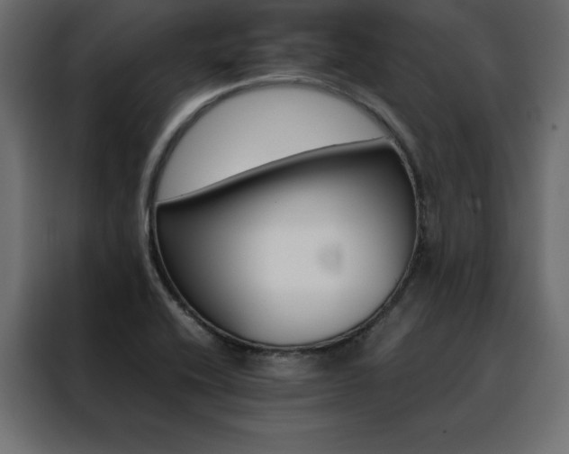 X0000088461416200705221333