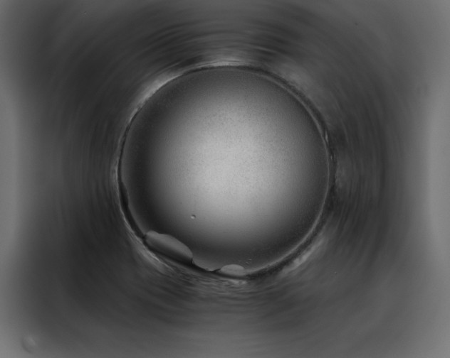 X0000088461417200705221333