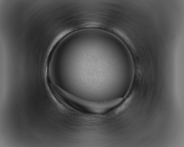 X0000088461418200705221333