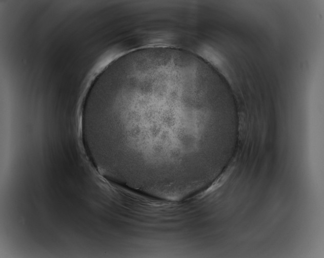 X0000088461419200705221333