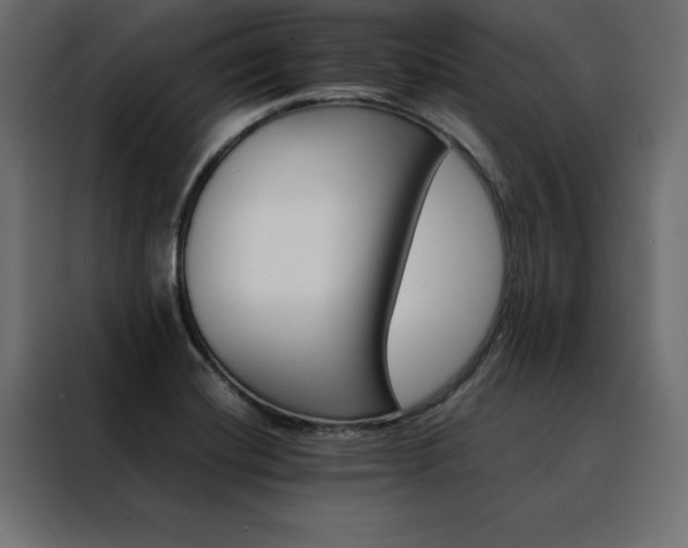 X0000088461420200705221333