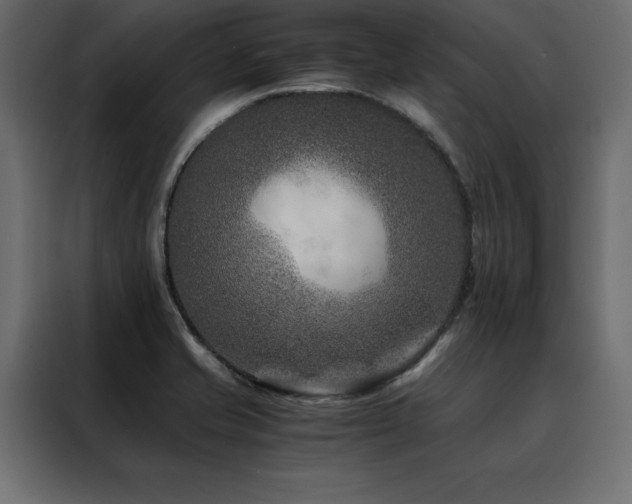 X0000088461421200705221333