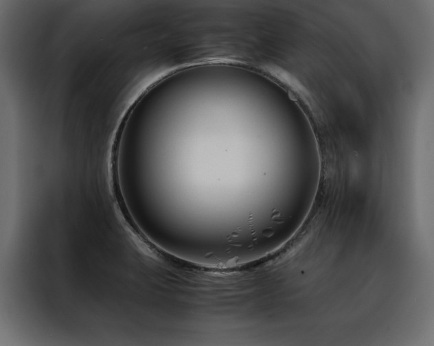 X0000088461423200705221333
